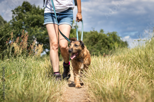Konstfotografi Animal trainer walking with her dog in nature