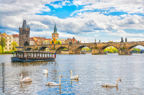 View on Charles bridge and swans on Vltava river in Prague at sunset, Czech Republic