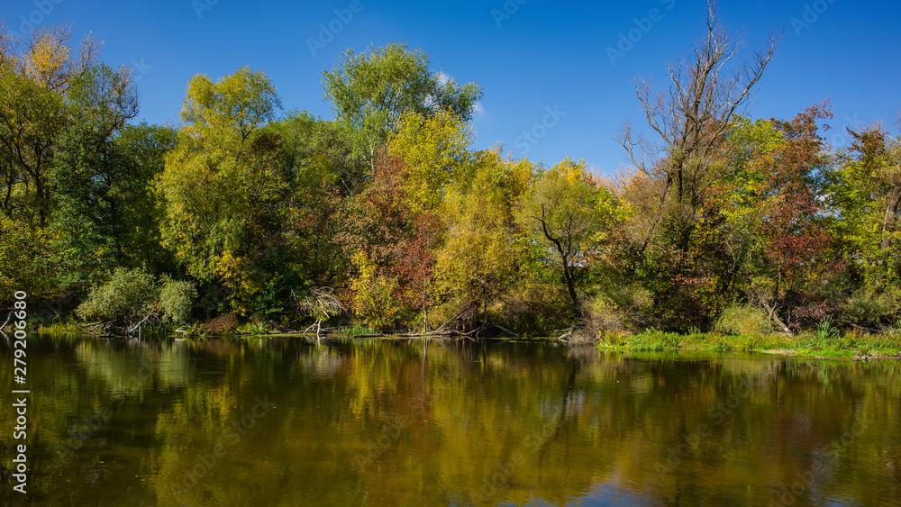 Autumn deciduous forest and river on a sunny day. Amazing landscape.