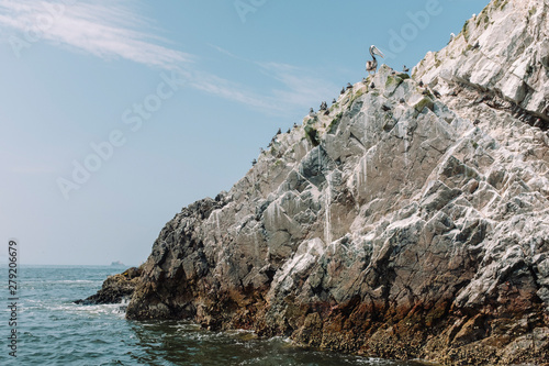 Pelicans on rock formation, Islas Ballestas, Paracas photo