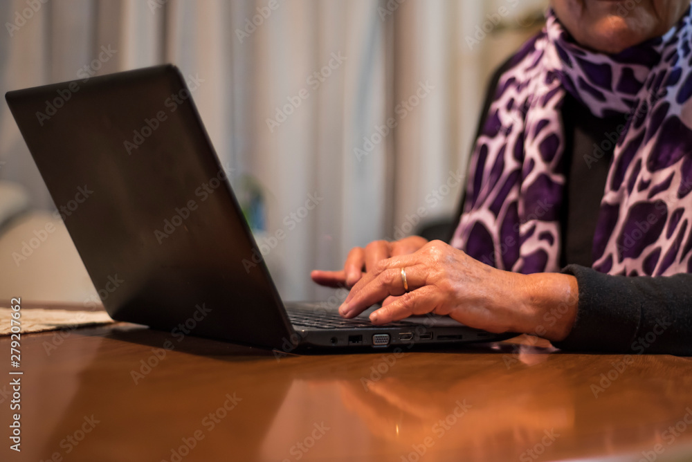 Fototapeta premium senior lady working with laptop
