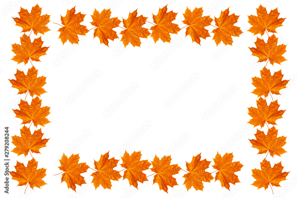 Bright colorful autumn leaves Bright colorful autumn leaves