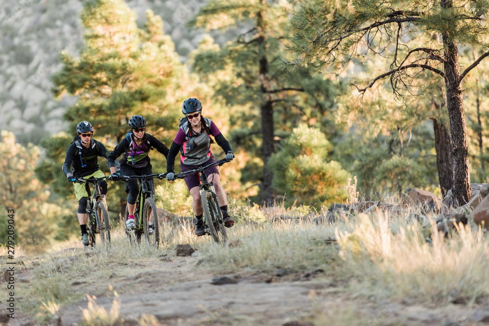 Group of mountain bikers riding on forest trail Group of mountain bikers riding on forest trail