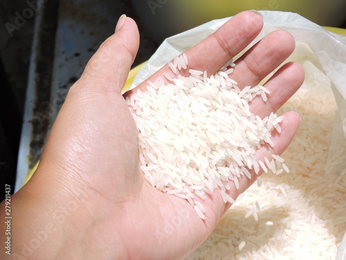 White Rice falling down. Jasmine Rice, Thai Rice, Raw Rice, Agriculture.