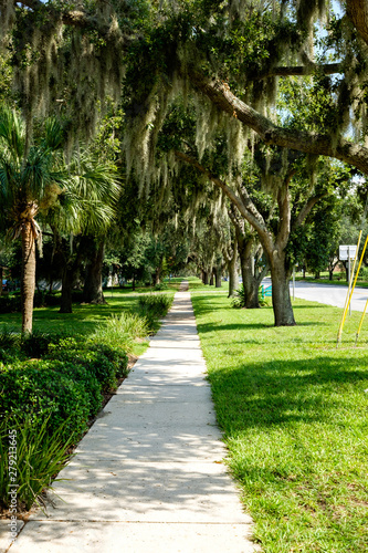 Main street in Howey in the Hills Florida, sidewalk, street, spainish moss covering the sidewalk. moss on the live 