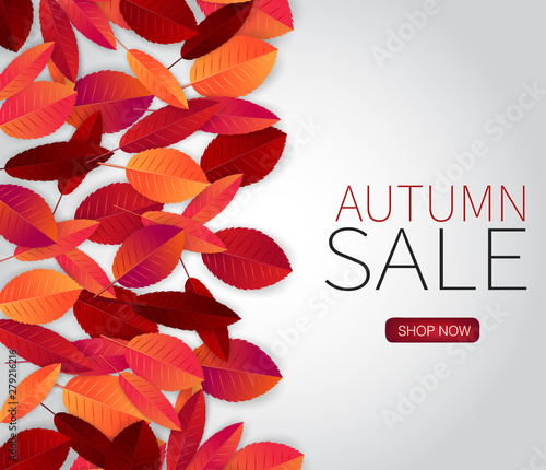 Fall season background with red and orange leaves.  Autumn sale typography text for advetising, shopping promotion. Vector illustration.