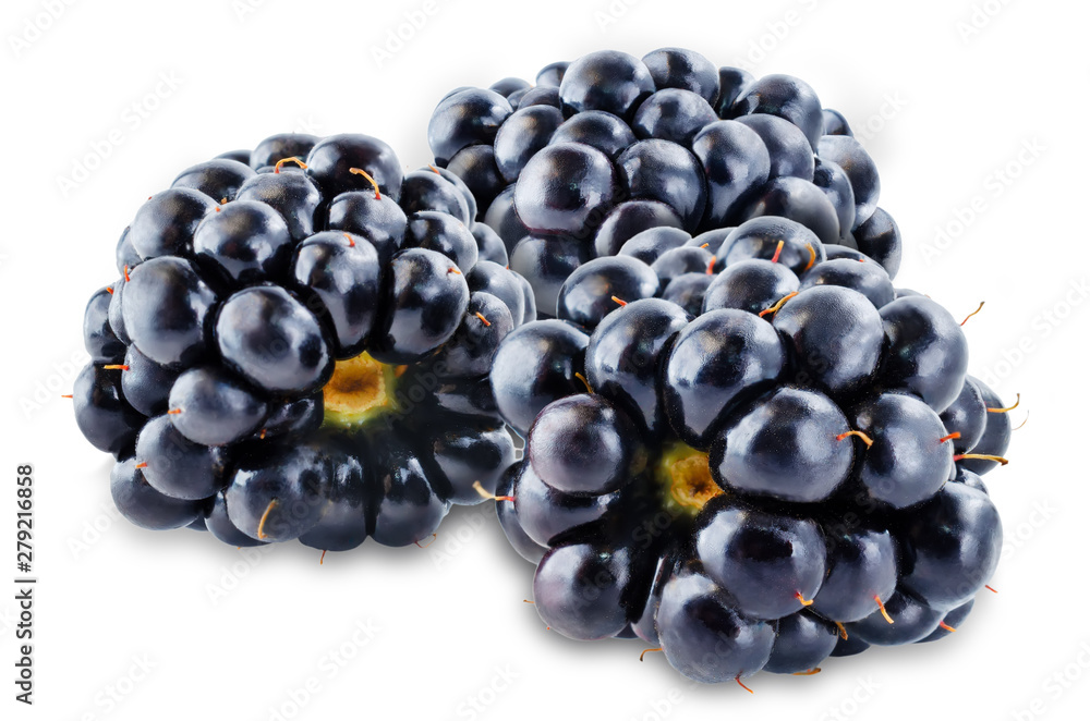 Blackberry on a white isolated background Blackberry on a white isolated background
