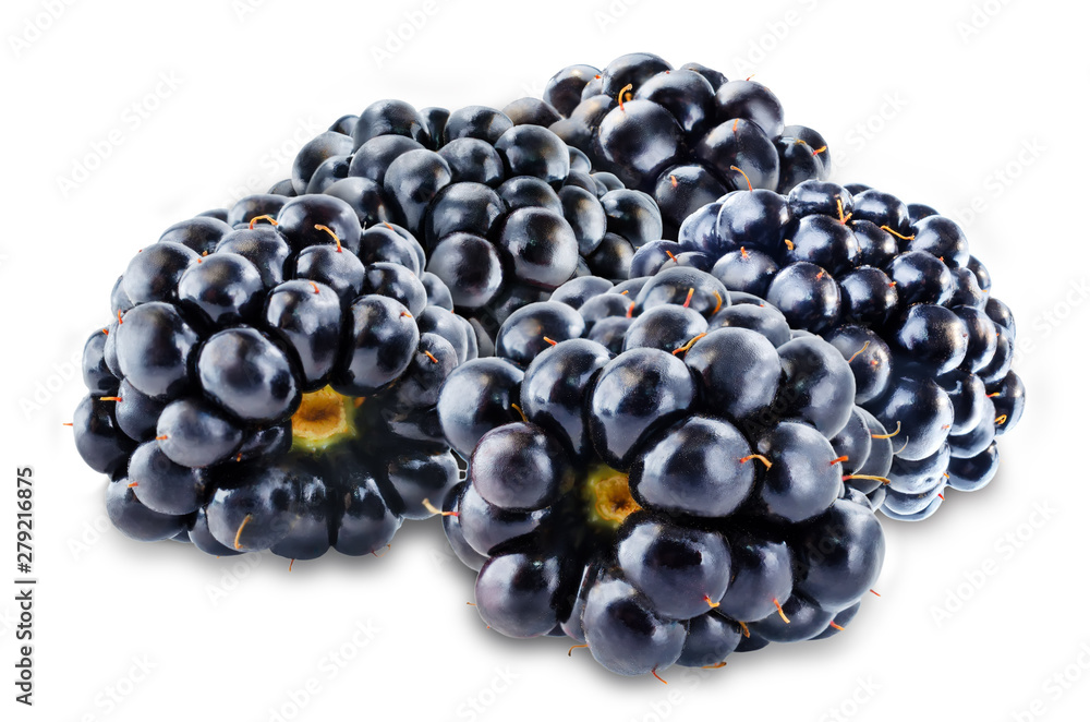 Blackberry on a white isolated background Blackberry on a white isolated background