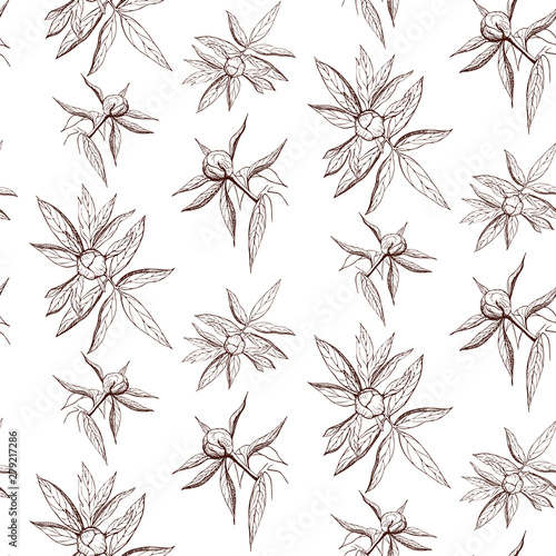 seamless ink peony flower pattern on white backdrop. Engraved vintage peony wallpaper. elegant black and white peony illustration. pattern of free hand outline peony flowers  buds and leaves