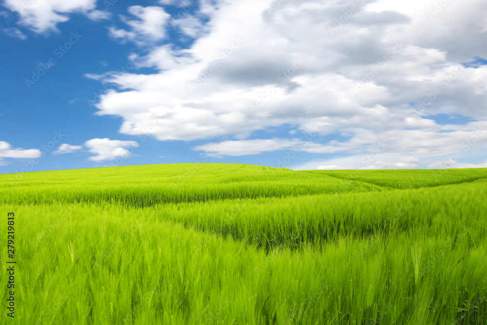 Naklejka premium Meadow, hills and blue sky. Green planet