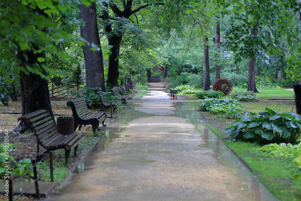 Path for walking pedestrians in a summer green city park after the rain Path for walking pedestrians in a summer green city park after the rain