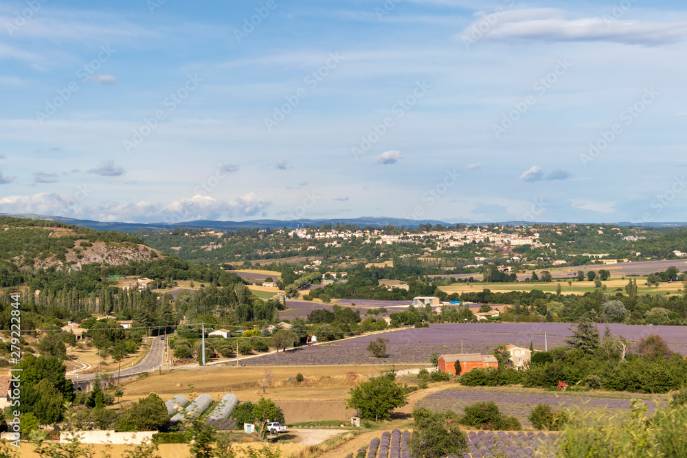 Background with aerial view on lavender fields at Provence, South of France