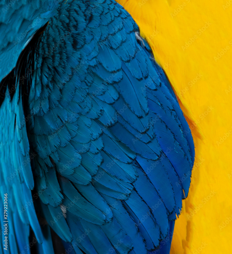Obraz premium abstract background