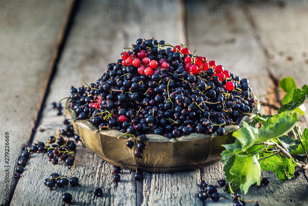 Black and red currant in bronze bowl on garden table - obrazy, fototapety, plakaty 