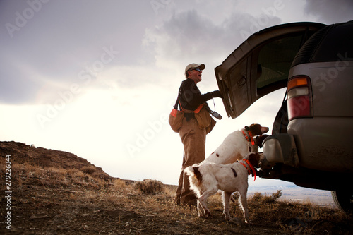 Photography Hunting dogs getting into truck