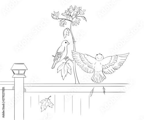 Birds on a Maple Sapling with a Fence Line Art