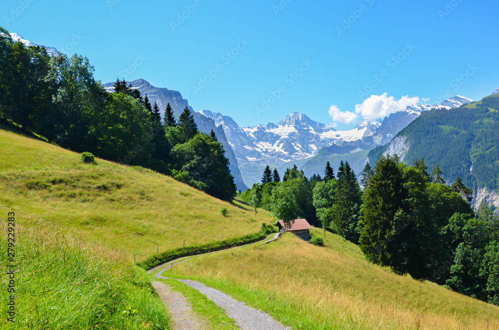 Alpine path in the hills near Lauterbrunnen in Swiss Alps. The way is leading to small mountain chalet. Photographed in summer season. Green landscape. Mountains in background