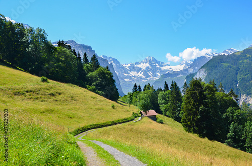 Alpine path in the hills near Lauterbrunnen in Swiss Alps. The way is leading to small mountain chalet. Photographed in summer season. Green landscape. Mountains in background