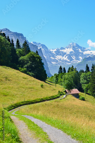 Narrow path in the hills near Lauterbrunnen in Swiss Alps leading to small wooden mountain hut. Photographed on a sunny summer day. Green hilly landscape. Mountains with snow on top in background