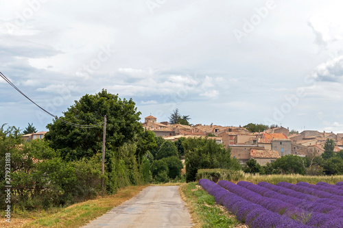 Blurred background with small countryside dirt road along the purple lavender field in Provence village, France photo