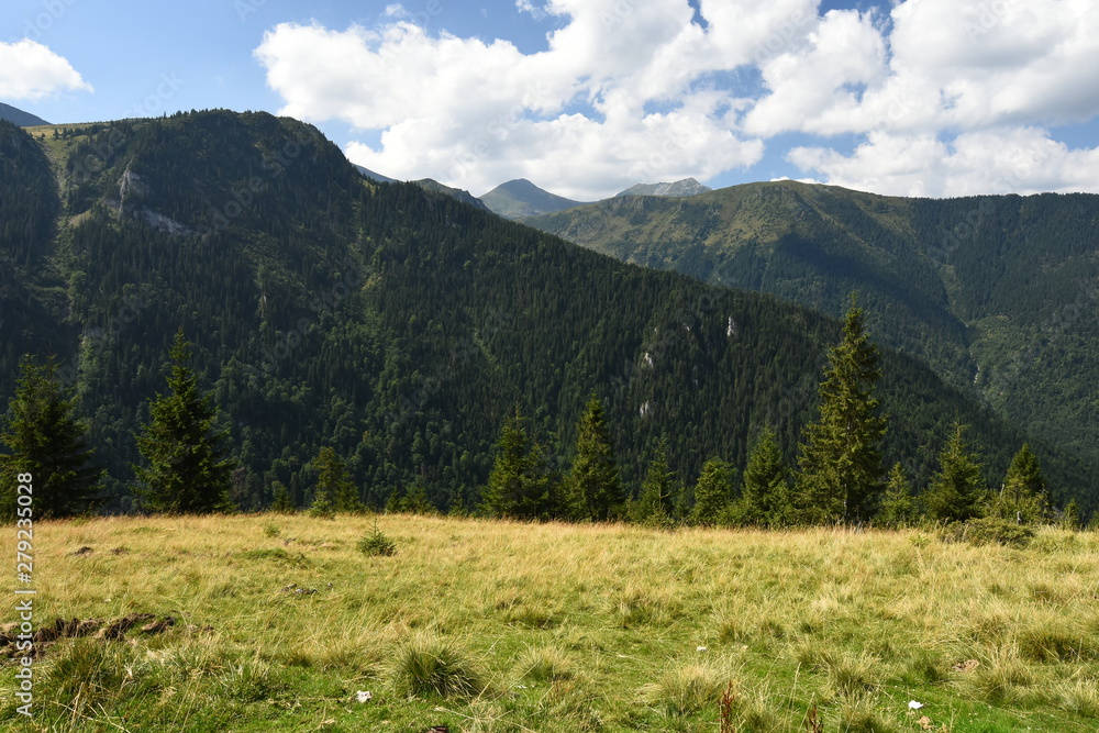 Green summer mountain landscape