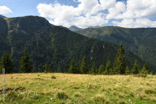 Green summer mountain landscape