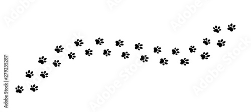 Paw print track on white ba...