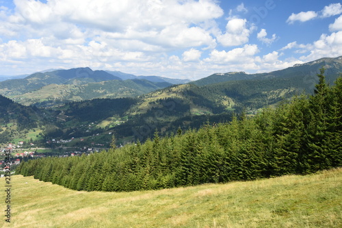 View of the green Carpathian Mountains (Romania)