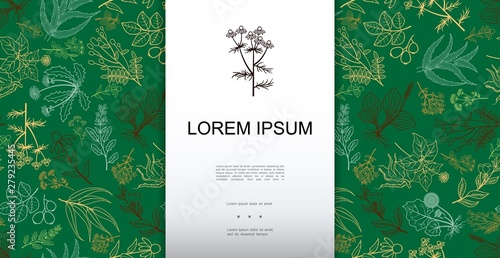Hand Drawn Medical Herbs Green Background