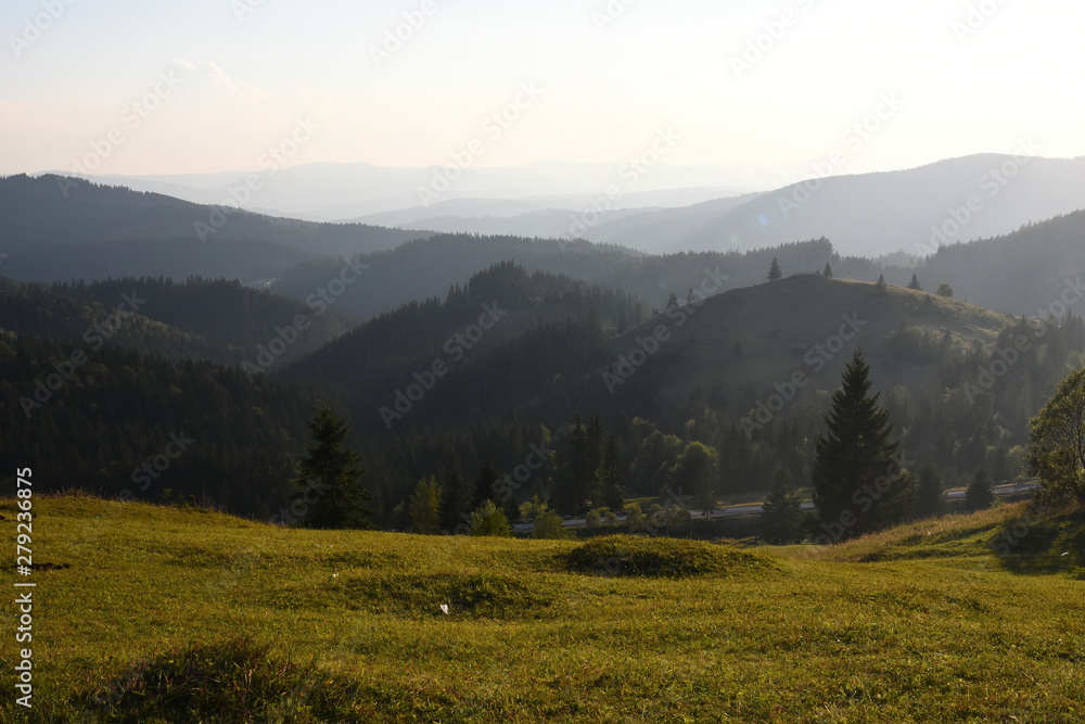 Morning hike in the Carpathian Mountains.
