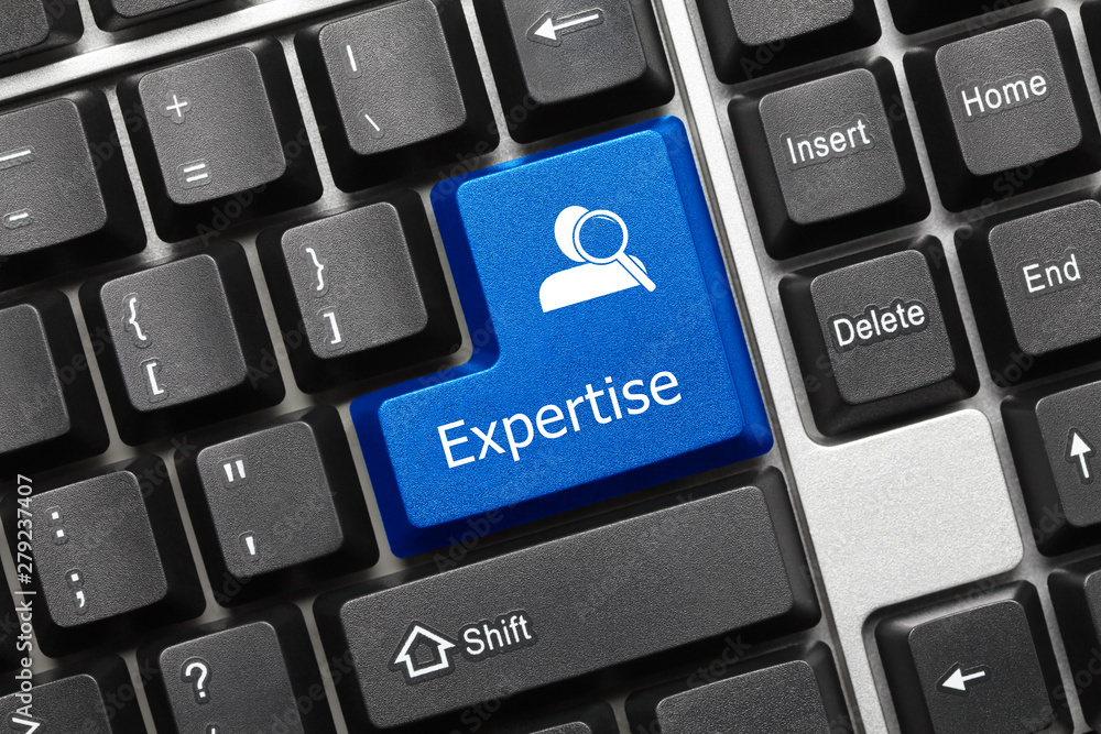 Conceptual keyboard - Expertise (blue key) Conceptual keyboard - Expertise (blue key)