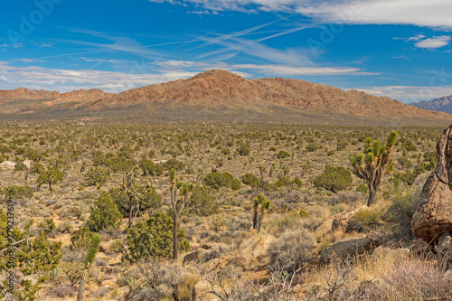 Desert Mountain Panorama in Early Spring
