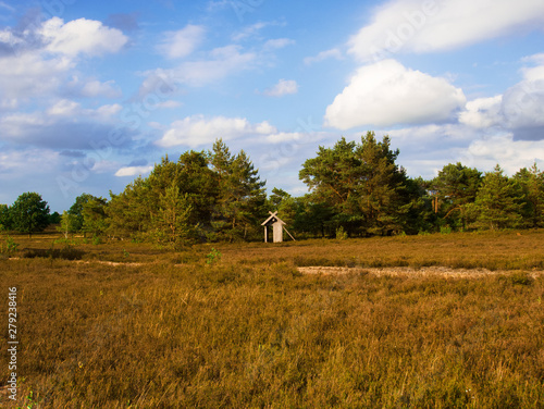 lüneburger heide bei schneverdingen