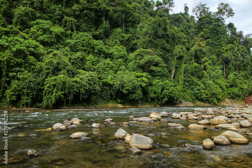 Bahorok River near Bukit Lawang in North Sumatra, Indonesia. photo