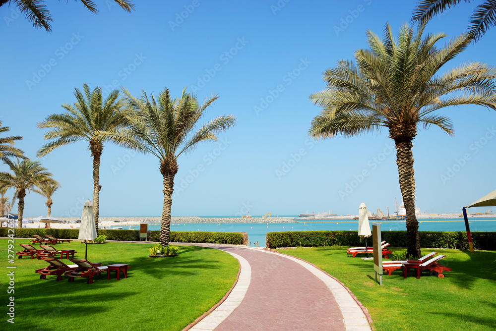 The beach with sunbeds on the green lawn and palm trees shadows in luxury hotel, Dubai, UAE The beach with sunbeds on the green lawn and palm trees shadows in luxury hotel, Dubai, UAE