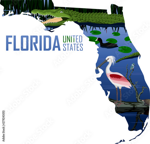 coot, kingfisher, spoonbill, tooth, fear, predator, mouth, skin, crocodile, wild, nature, reptile, animal, wildlife, gator, vector, florida, american, isolated, green, alligator, everglades, carnivore