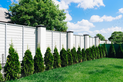 Fotografie A nice green backyard with lawn white fence and green hedge on a sunny day