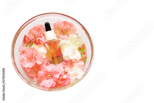 Group of skincare serum oil with little flowers in glass plate on white backdrop. Facial beauty cosmetic spa product. Natural cosmetology concept skin treatment. Dropper of essential oil, aromatherapy