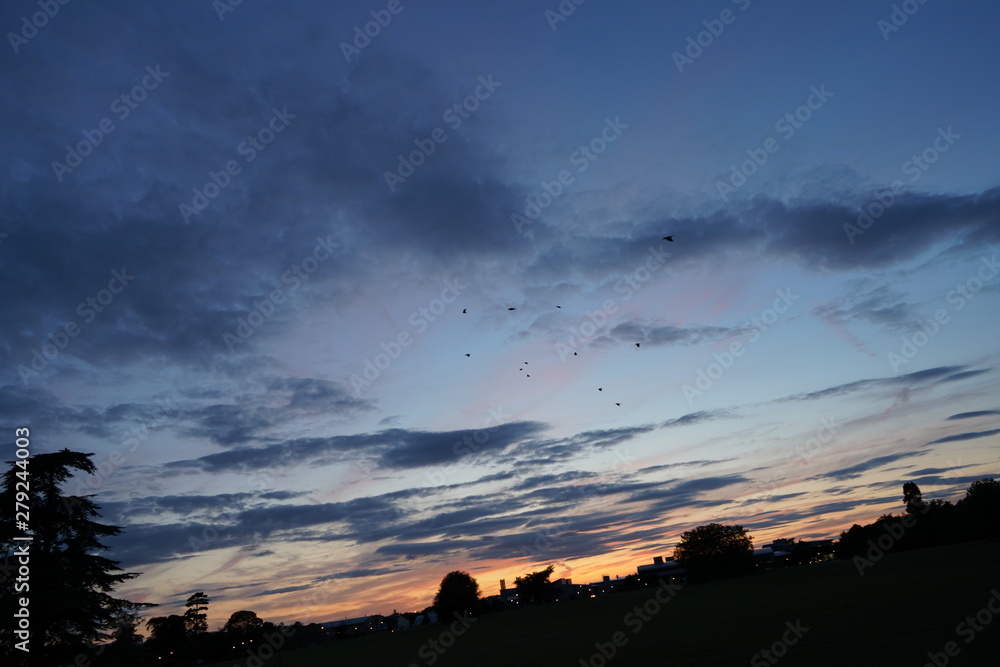 Fototapeta premium fresh green sunset landscape and blue sky with clouds