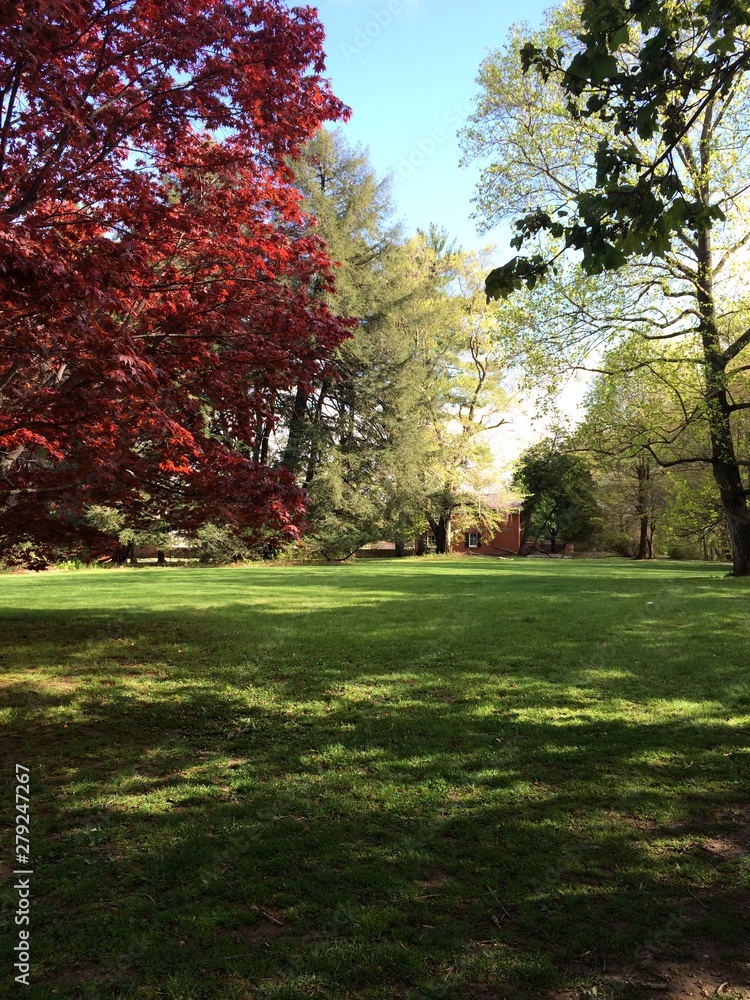 Naklejka premium Autumn walk