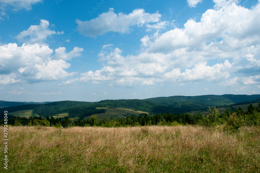 The evening is bright in the mountains in the summer with green forest