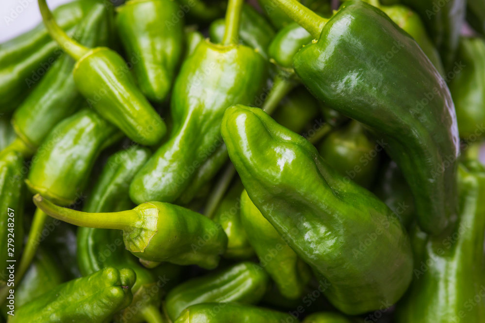 pile of Padron peppers for backgrounds pile of Padron peppers for backgrounds