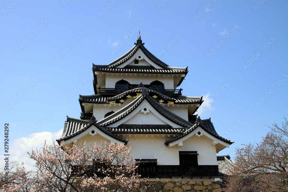彦根城 彦根城