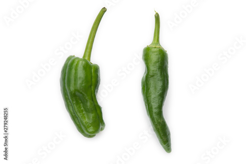 two Padron peppers on white background, typical of Galician cuisine photo