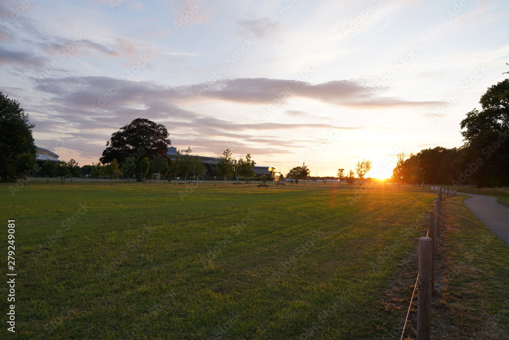 Fototapeta premium fresh green sunset landscape with blue sky and clouds