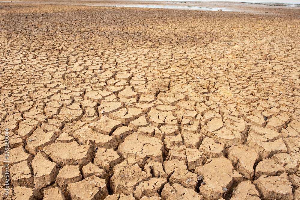 Marsh land with dry and cracked ground. Global warming background. Marsh land with dry and cracked ground. Global warming background.