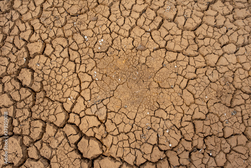 Marsh land with dry and cracked ground. Global warming background.