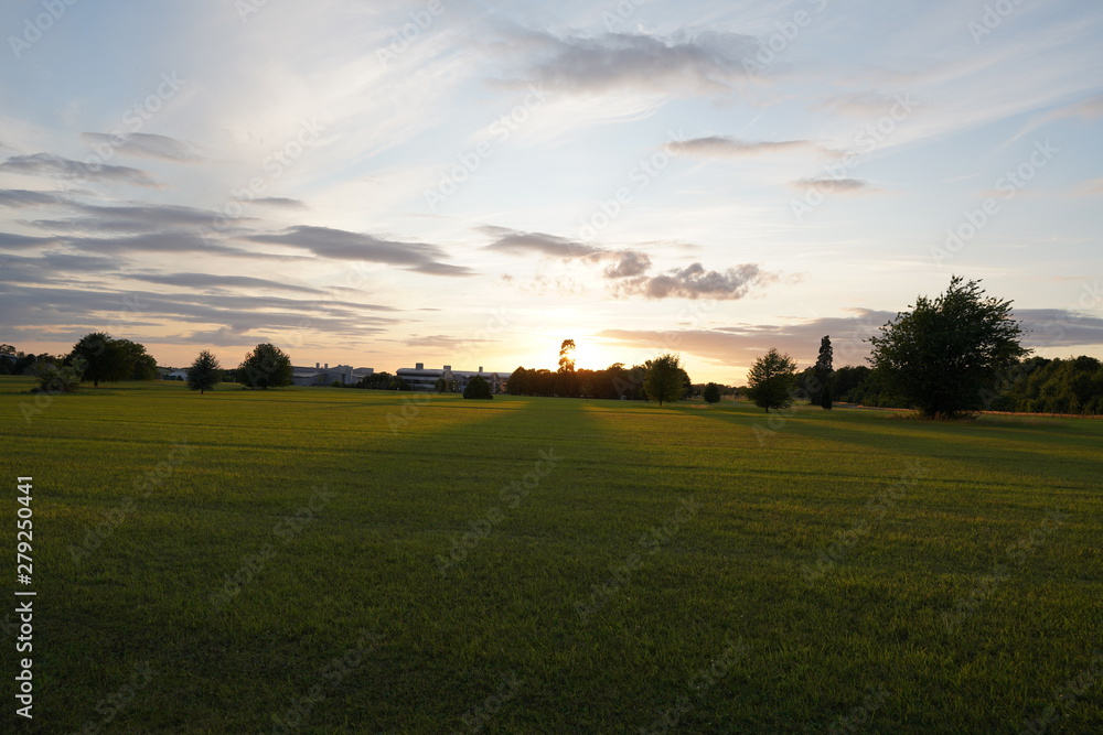 Fototapeta premium fresh green sunset landscape with blue sky and clouds