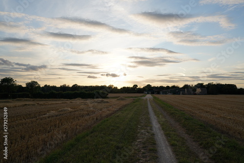 fresh green sunset landscape with blue sky and clouds