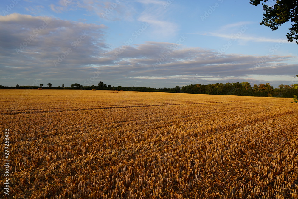 green landscape and blue sky with clouds